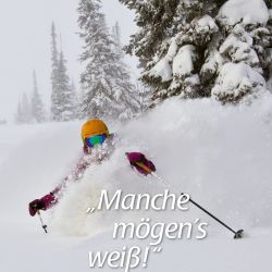 RZ_DWDS_Koenigslinie-fc56cc4d